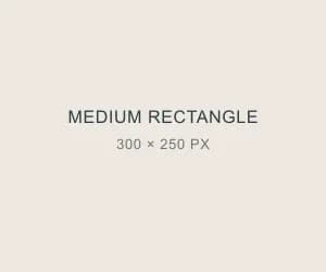 Placeholder técnico do formato Medium Rectangle, 300 por 250 pixels